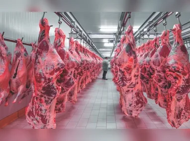 Imagem ilustrativa da imagem China suspende compra de carne bovina do Brasil