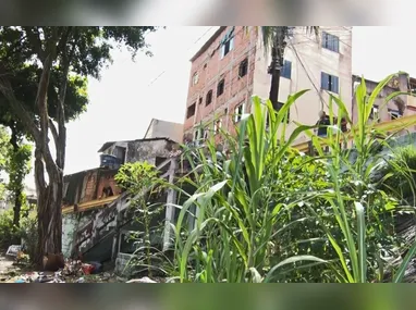 Foram apreendidas cerca de 70 aparelhos nos quatro dias de folia no Centro de Vitória