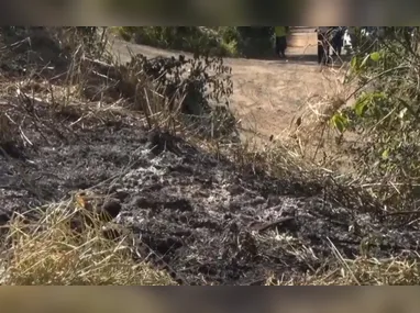 Imagem ilustrativa da imagem Homem é esfaqueado por vizinhos após colocar fogo em terreno em Cariacica