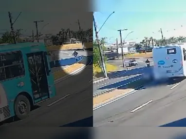 Operação com cães farejadores ocorreu na BR-101