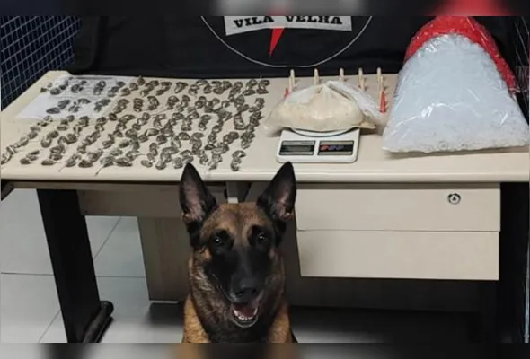 200 buchas de maconha, 22 pinos de cocaína e uma embalagem com 482 gramas de cocaína foram encontrados pela cadela Hane