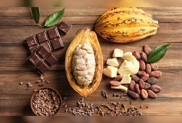 Imagem ilustrativa da imagem Onde nasce o chocolate que emociona
