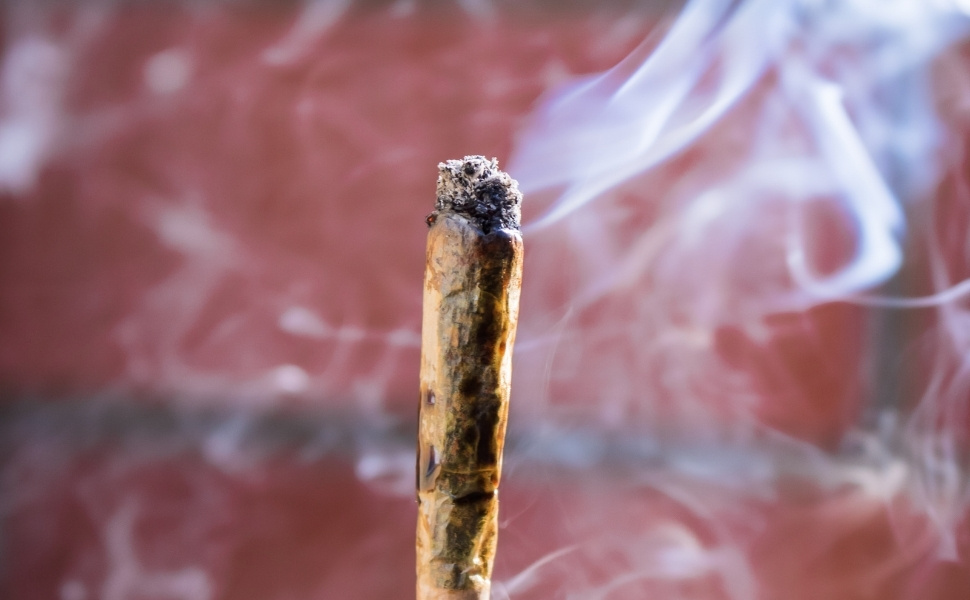 STF confirma decisão de descriminalizar porte de maconha para uso pessoal - Portais