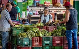 Imagem ilustrativa da imagem Anvisa inicia monitoramento de resíduos de agrotóxicos em alimentos