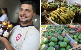 Imagem ilustrativa da imagem Cooperativa de Cariacica fortalece agricultura familiar e gera renda no campo