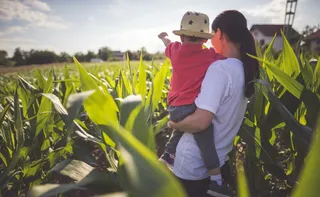 Imagem ilustrativa da imagem Mulheres do campo: força invisível que sustenta famílias