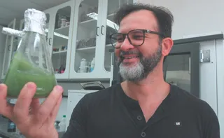 Imagem ilustrativa da imagem Pesquisas no ES revelam uso sustentável de algas contra pragas na lavoura