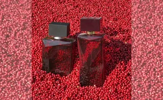 Imagem ilustrativa da imagem Pimenta-rosa capixaba agora em perfumes famosos