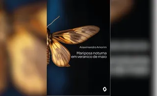 Imagem ilustrativa da imagem Sorteio do novo livro de capixaba para assinantes