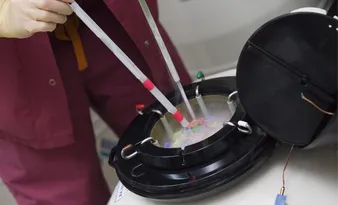 Imagem ilustrativa da imagem Plano de saúde cobre congelamento de ovos?