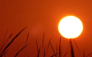 Imagem ilustrativa da imagem A crise climática e a urgência por um futuro sustentável