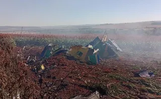 Imagem ilustrativa da imagem Avião da Esquadrilha da Fumaça cai no interior de São Paulo