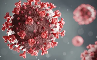Imagem ilustrativa da imagem Brasil registra primeiros casos de nova variante da Covid-19
