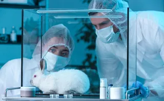 Imagem ilustrativa da imagem Câmara aprova projeto que proíbe uso de animais em testes de cosméticos