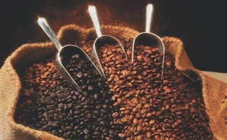 Imagem ilustrativa da imagem Empresários afirmam: “EUA dependem mais do nosso café do que precisamos deles”