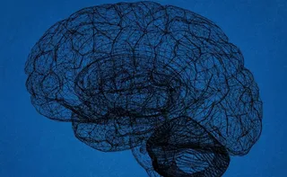 Imagem ilustrativa da imagem Estruturas cerebrais e sinais de psicopatia não têm relação causal direta