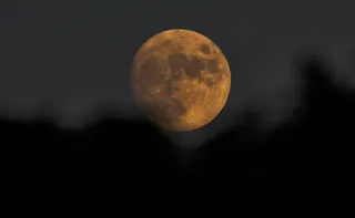 Imagem ilustrativa da imagem 'Lua do veado' aparece nesta quinta-feira; saiba qual melhor horário para observar