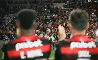 Imagem ilustrativa da imagem Quais são as maiores torcidas do Brasil?