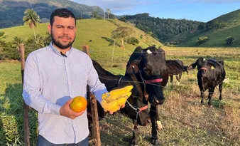 Imagem ilustrativa da imagem Pecuaristas apostam em frutas para alimentar animais após alta no preço da ração