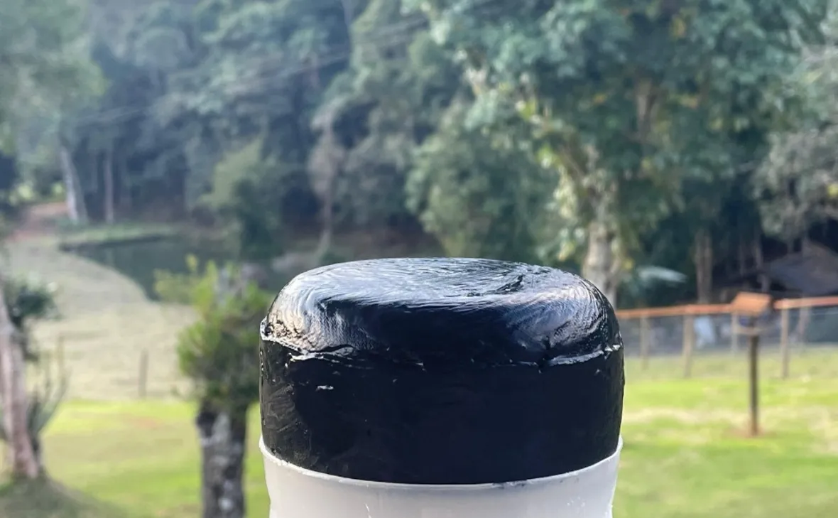 Imagem ilustrativa da imagem Queijo a base de leites de cabra e de ovelha é eleito o melhor do ES