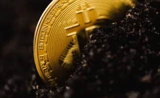 Imagem ilustrativa da imagem A ciência celebrada: reflexões sobre o Nobel de Economia