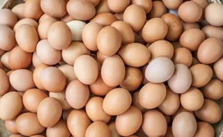 Imagem ilustrativa da imagem Brasil produz o equivalente a 305 ovos de galinha por habitante
