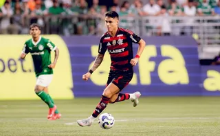 Imagem ilustrativa da imagem Brasileirão: Flamengo tem 52,7% de chance de título. Palmeiras tem 33,2%