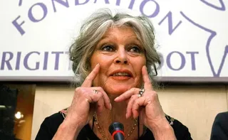 Imagem ilustrativa da imagem Brigitte Bardot é internada em estado grave aos 91 anos