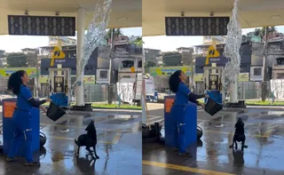 Imagem ilustrativa da imagem Brincadeira refrescante com cachorro em posto no ES viraliza nas redes; veja vídeo