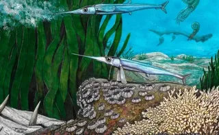 Imagem ilustrativa da imagem Cientistas brasileiros identificam nova espécie de peixe pré-histórico