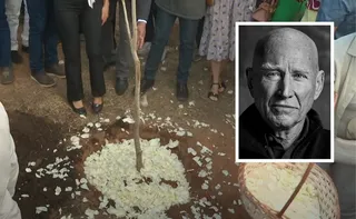Imagem ilustrativa da imagem Cinzas de Sebastião Salgado são depositadas em árvore do Instituto Terra