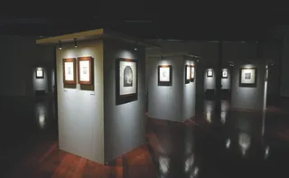 Imagem ilustrativa da imagem Exposição internacional inédita vai passar por Vitória