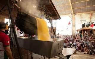 Imagem ilustrativa da imagem Festa da Polenta em Venda Nova do Imigrante deve atrair 45 mil visitantes