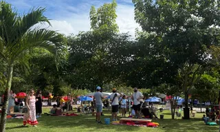 Imagem ilustrativa da imagem Festival Sabores retorna ao Parque de Apipucos neste sábado