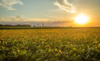 Imagem ilustrativa da imagem Governo anuncia R$ 12 bilhões para produtores rurais atingidos por clima extremo