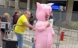 Imagem ilustrativa da imagem Homem golpeia 'porquinho da Paulista' com garfo durante manifestação