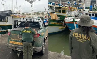 Imagem ilustrativa da imagem Ibama aplica R$ 22 milhões em multas em porto no Sul do ES