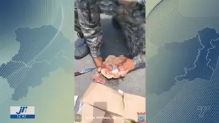 Imagem ilustrativa da imagem Inusitado: polícia encontra drogas escondidas em frangos congelados em Noronha