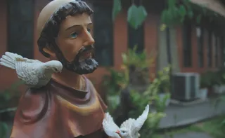 Imagem ilustrativa da imagem Missas para celebrar São Francisco e bênção dos animais