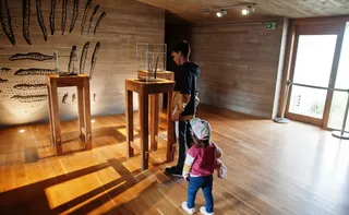 Imagem ilustrativa da imagem Museu também é programa para crianças