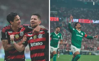 Imagem ilustrativa da imagem O campo & bola
