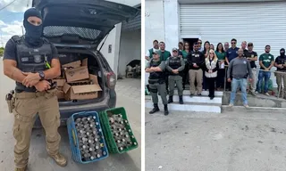 Imagem ilustrativa da imagem Operação Intox apreende bebidas adulteradas em mercado de Cachoeirinha