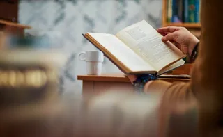 Imagem ilustrativa da imagem Os livros em festa