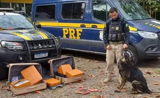 Imagem ilustrativa da imagem PRF prende passageiro transportando 52 kg de drogas, em Guarapari
