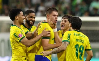 Imagem ilustrativa da imagem Palmeiras tem 68,3% de chance de título, e Cruzeiro despenca; veja números