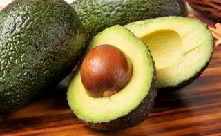 Imagem ilustrativa da imagem Produção de abacate cresce e fortalece a fruticultura capixaba