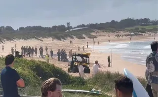 Imagem ilustrativa da imagem Surfista morre após ataque de tubarão em praia na Austrália