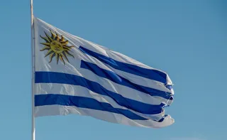 Imagem ilustrativa da imagem Uruguai aprova lei de eutanásia por ampla maioria no Senado