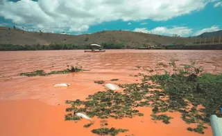 Imagem ilustrativa da imagem Vale e Samarco são autuadas em R$1,92 bi por abater imposto com tragédia de Mariana