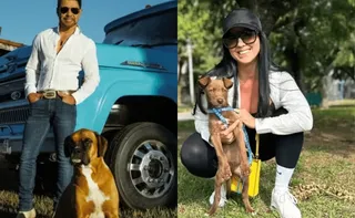 Imagem ilustrativa da imagem Zezé Di Camargo passa a abrigar cães abandonados em fazenda